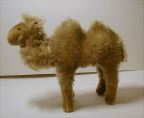 image/_camel15.jpg, 3.2K