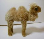 image/_camel6.jpg, 3.5K