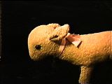 image/_lamb02.jpg, 3.8K