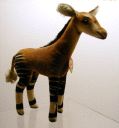 image/_okapi3.jpg, 3.4K
