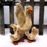 image/_fowl01.jpg, 6.5K