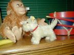 image/_sealy3.jpg, 4.9K